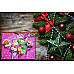 10公分全長豪華手工聖誕主題糖霜加QQ軟糖的棒棒糖12隻罐裝