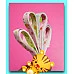 為您介紹-許願星星摺紙50張裝 許願星星摺紙50張裝