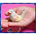 為您介紹-水笛又稱水鳥笛(陶瓷)單隻報價-鳥類主題 水笛又稱水鳥笛(陶瓷)單隻報價-鳥類主題
