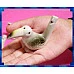為您介紹-水笛又稱水鳥笛(陶瓷)單隻報價-鳥類主題 水笛又稱水鳥笛(陶瓷)單隻報價-鳥類主題
