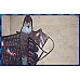 為您介紹-失傳的商品-特大號150公分老鷹風箏(正立體技術風箏款) 失傳的商品-特大號150公分老鷹風箏(正立體技術風箏款)