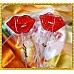 為您介紹-性感紅唇棒棒糖蔓越莓口味台灣製100隻裝含禮籃 性感紅唇棒棒糖蔓越莓口味台灣製100隻裝含禮籃