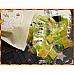 為您介紹-傳統蜜餞新吃法的一片蜜餞-佛手柑 傳統蜜餞新吃法的一片蜜餞-佛手柑