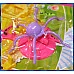 大型遊樂園遊戲套件組
