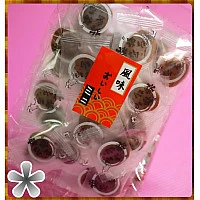 傳統蜜餞新吃法的一片蜜餞-圓形梅之肉 傳統蜜餞新吃法的一片蜜餞-圓形梅之肉