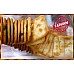 為您介紹-好吃的古早味蔥蘇打餅乾3000g特大包約600片-四角蔥餅 好吃的古早味蔥蘇打餅乾3000g特大包約600片-四角蔥餅